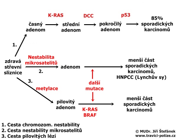 Kancerogeneze kolorektálního karcinomu